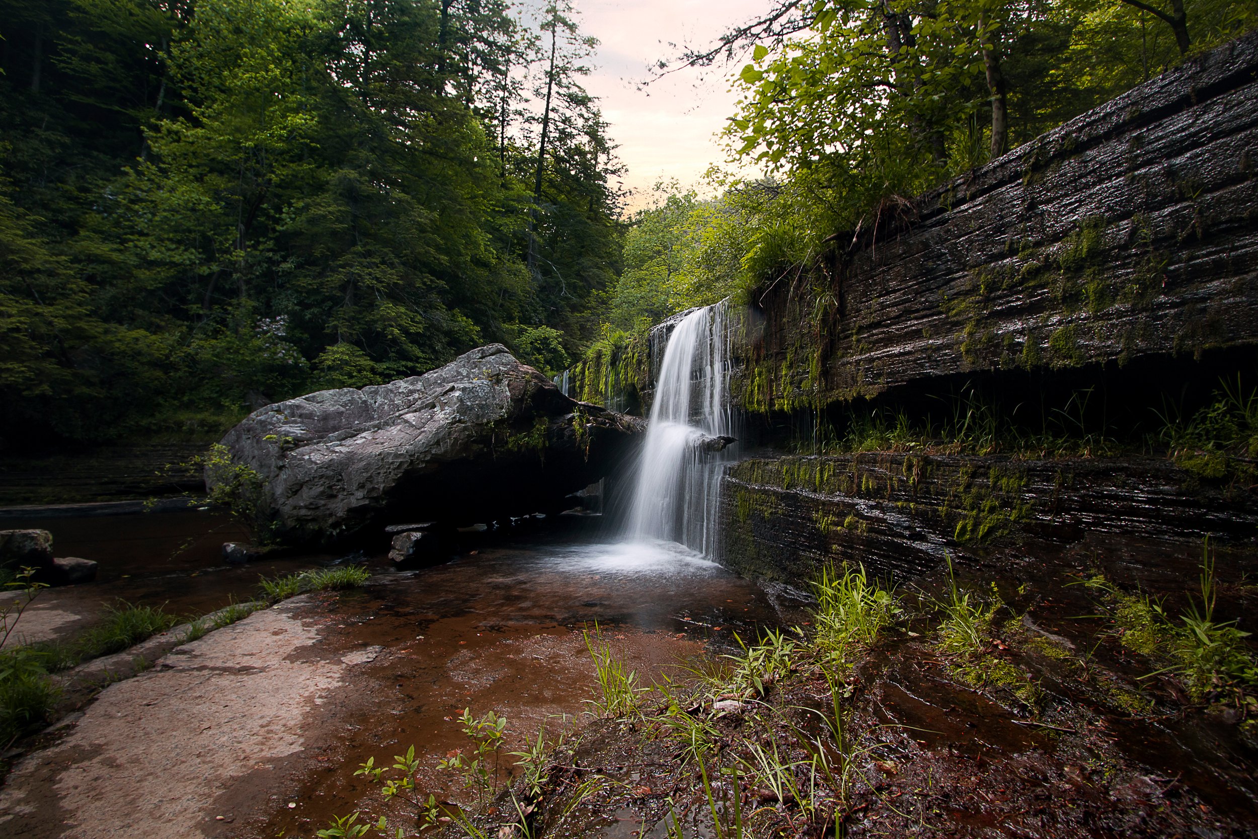 _MG_6479.jpg