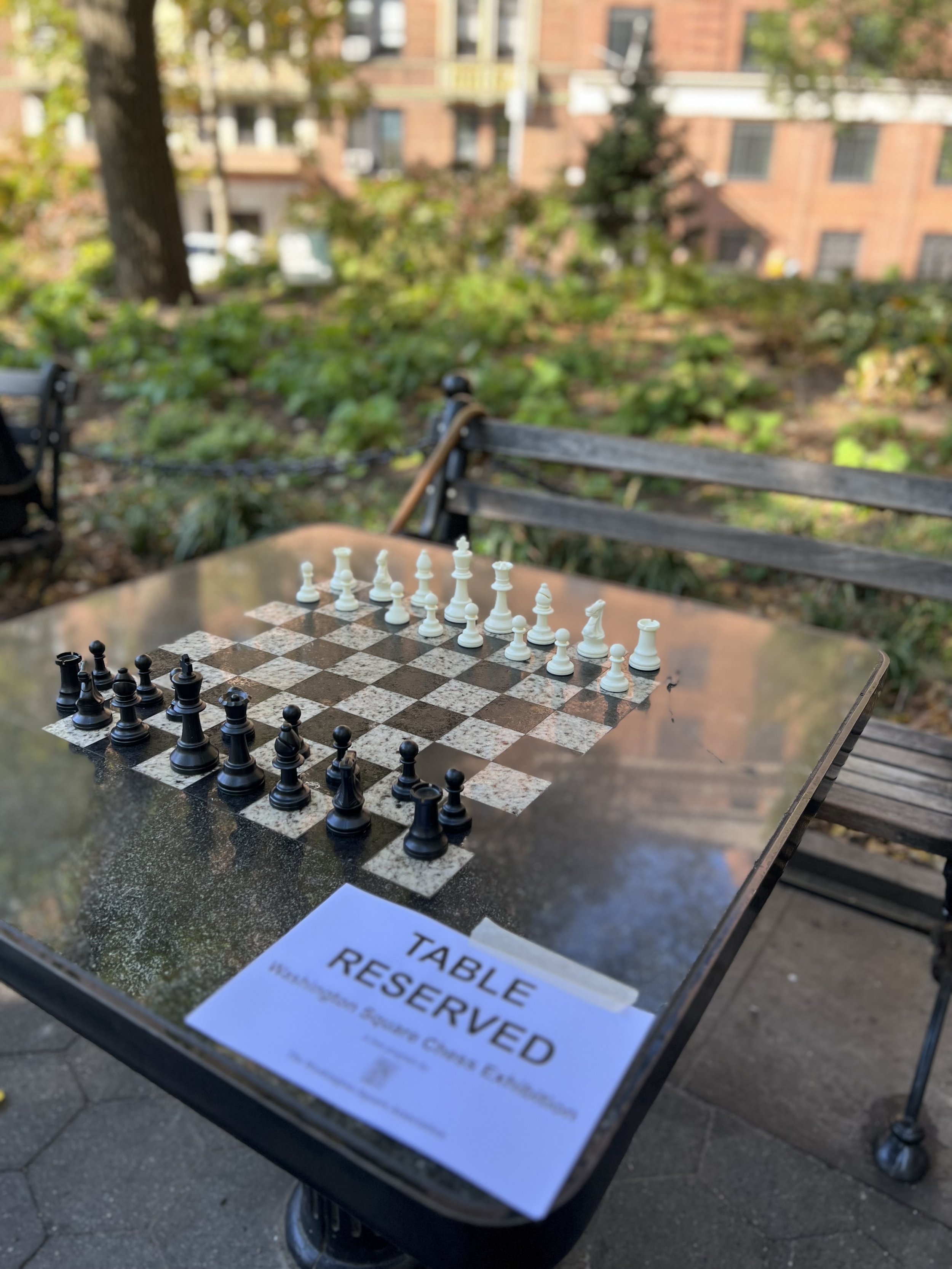 Gurutz Rosdorf Park 2 Player Chess