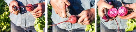 BeetCuts.png