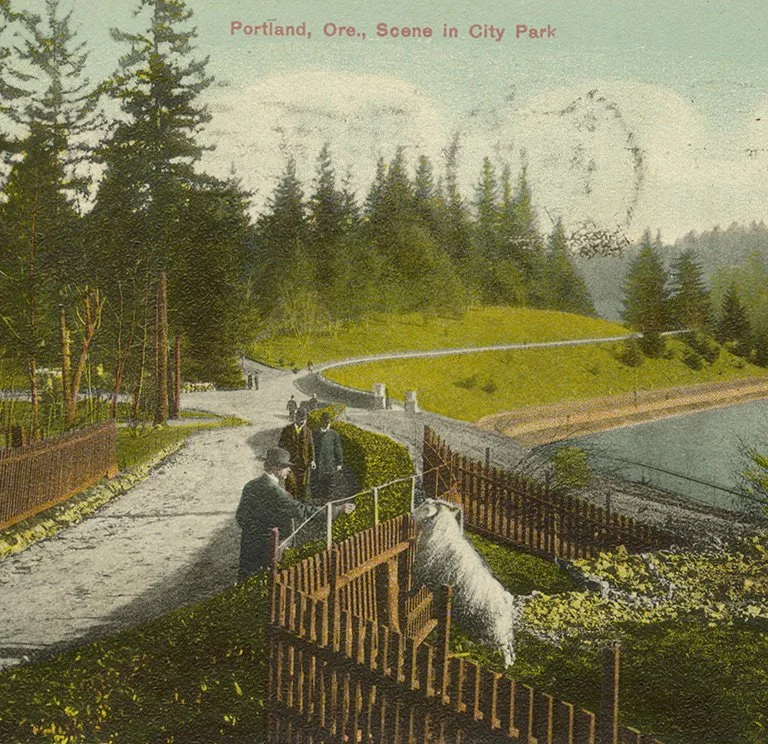 Parks and Power: The Role of Public Spaces in Civic Life