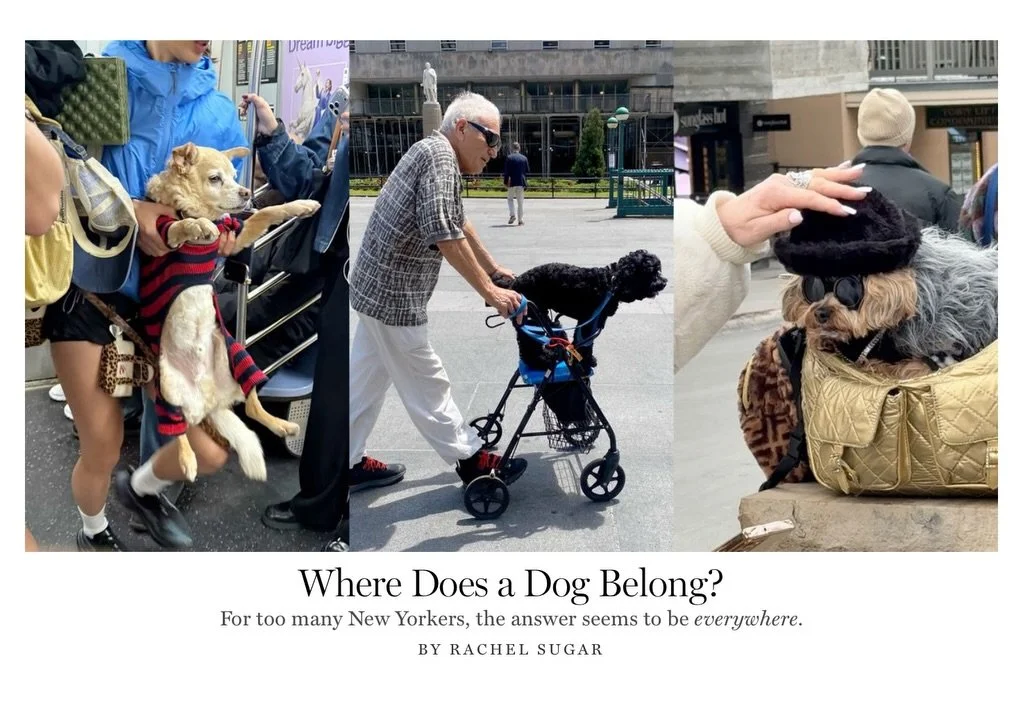 It is apparently National Pet Day? I can&rsquo;t keep up. Coincidentally, I just learned that I was quoted in this week&rsquo;s @nymag about New York&rsquo;s nineteenth-century dog problems. I love that the author drew on history to put today&rsquo;s