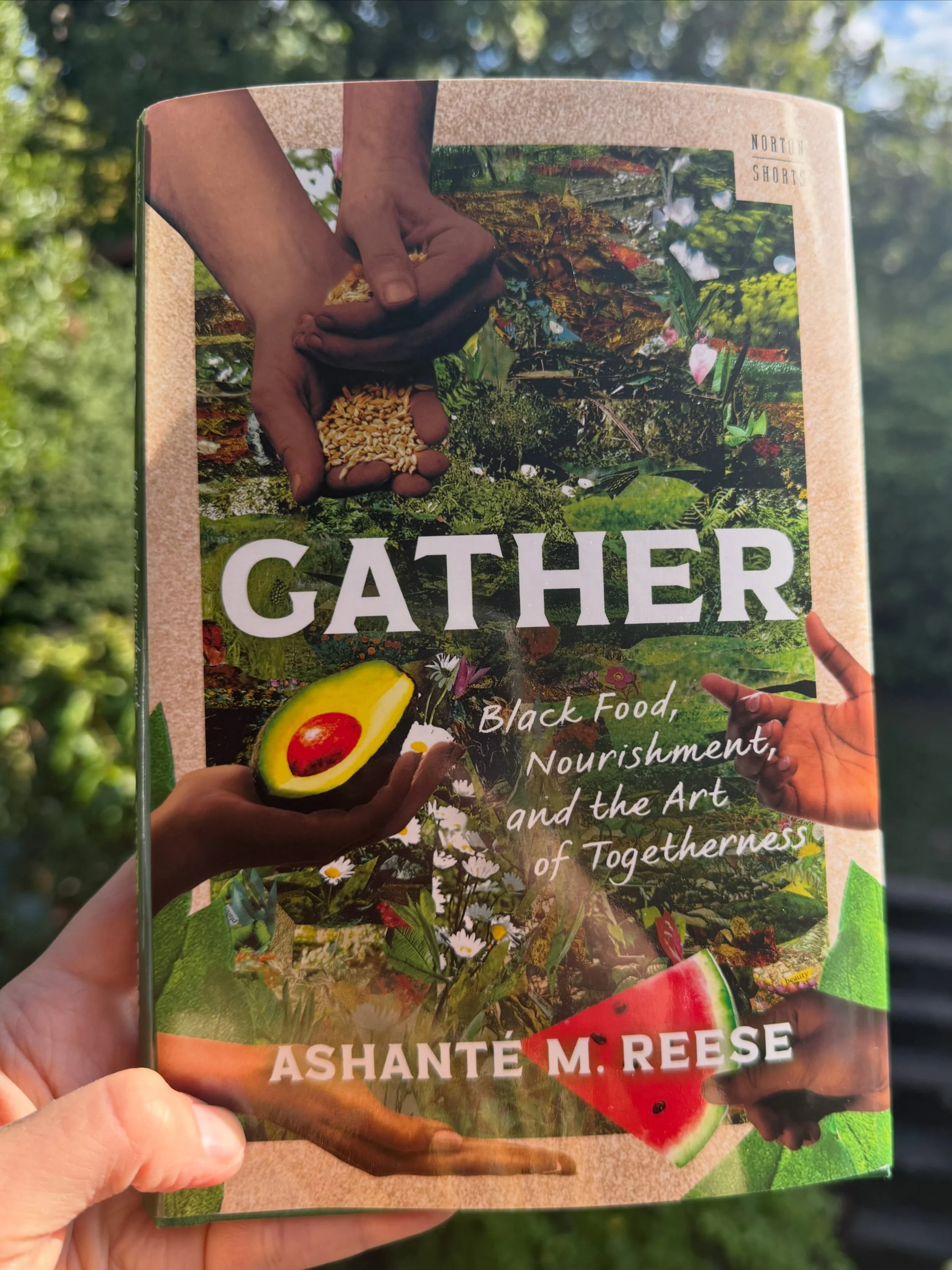 Book recommendation! I was lucky to get a copy of this book from @w.w.norton in the mail this week and I feasted on it, reading it in one sitting this afternoon. I will now be seeking out all of Ashante Reese&rsquo;s books. My goodness, the way she w