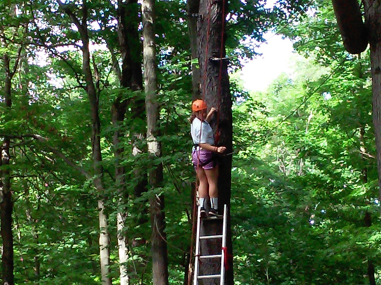 climbing.jpg