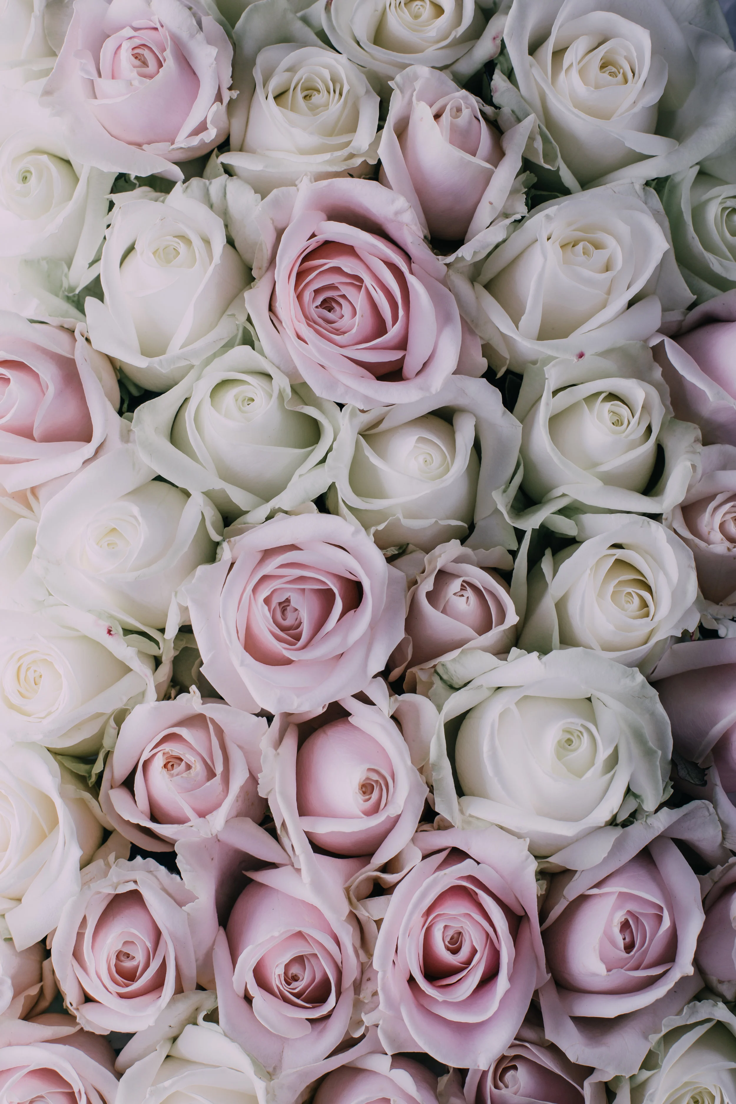 What's popular isn't necessarily good