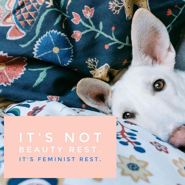 Get some sleep, ladies! Tomorrow we march! // photo credit to @picjumbo #womensmarchonwashington #womensmarchla #feminism #beauty #bodypositive #dogs #dogsofinsta #whoruntheworld #shinetheory #women #womenempowerment #womenempoweringwomen #humanright