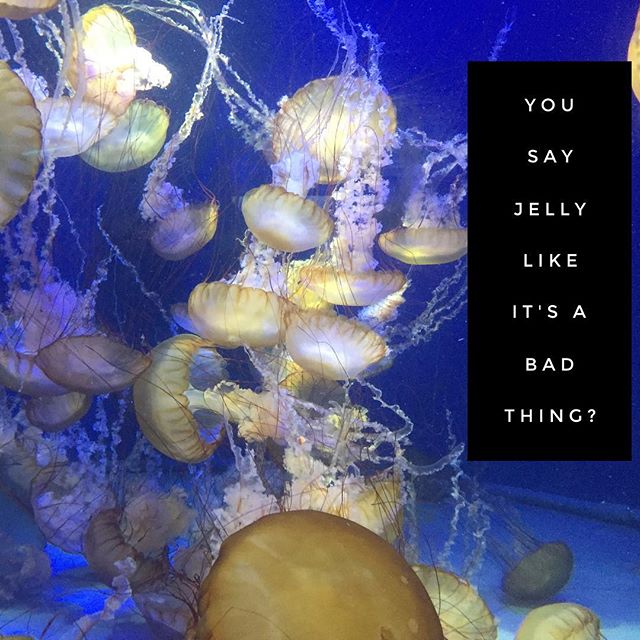 Jellyfish are beautiful. So is your jelly. #idontthinkyourereadyforthisjelly #jellyfish #longbeach #aquarium #tbt #nofilter #jellydonuts #mermaid #mermaidlife #swimming #bodylove #bodypositive