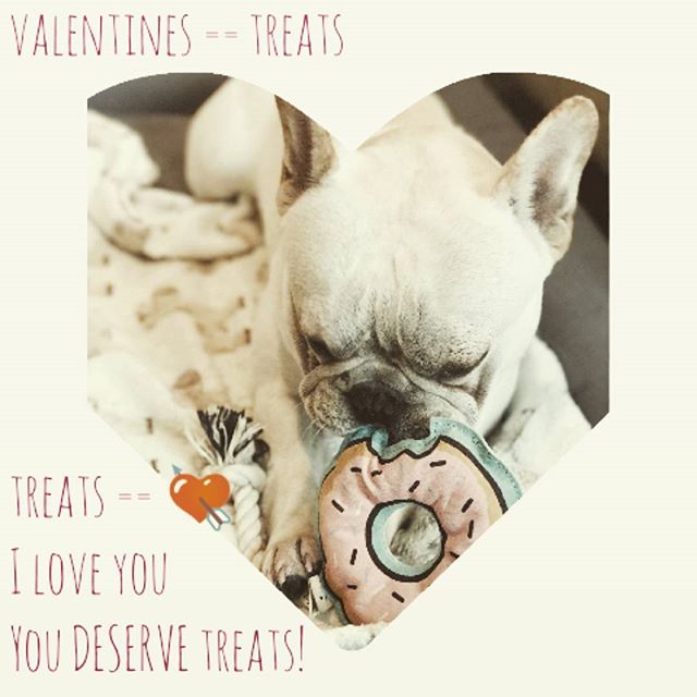 You deserve love and by the transitive property you also deserve chocolate. (Side note: don't give your dog chocolate) // photo credit to @ishanliou and her dog cooper  #bodypositive #valentines #selflove #donuts 
#frenchbulldog #dogs #dogstagram