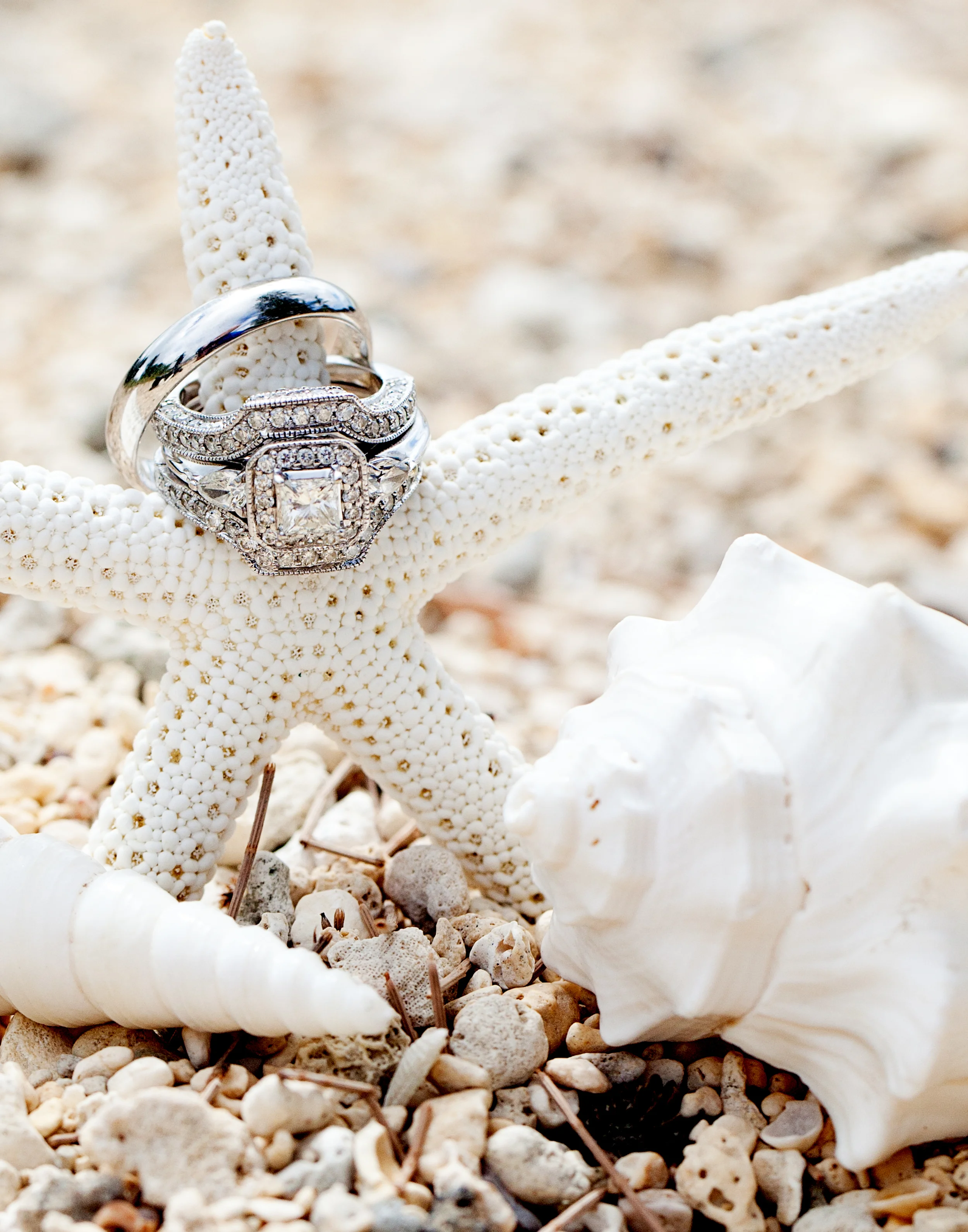 MKnisely_DoyleWedding_2012_0024.jpg