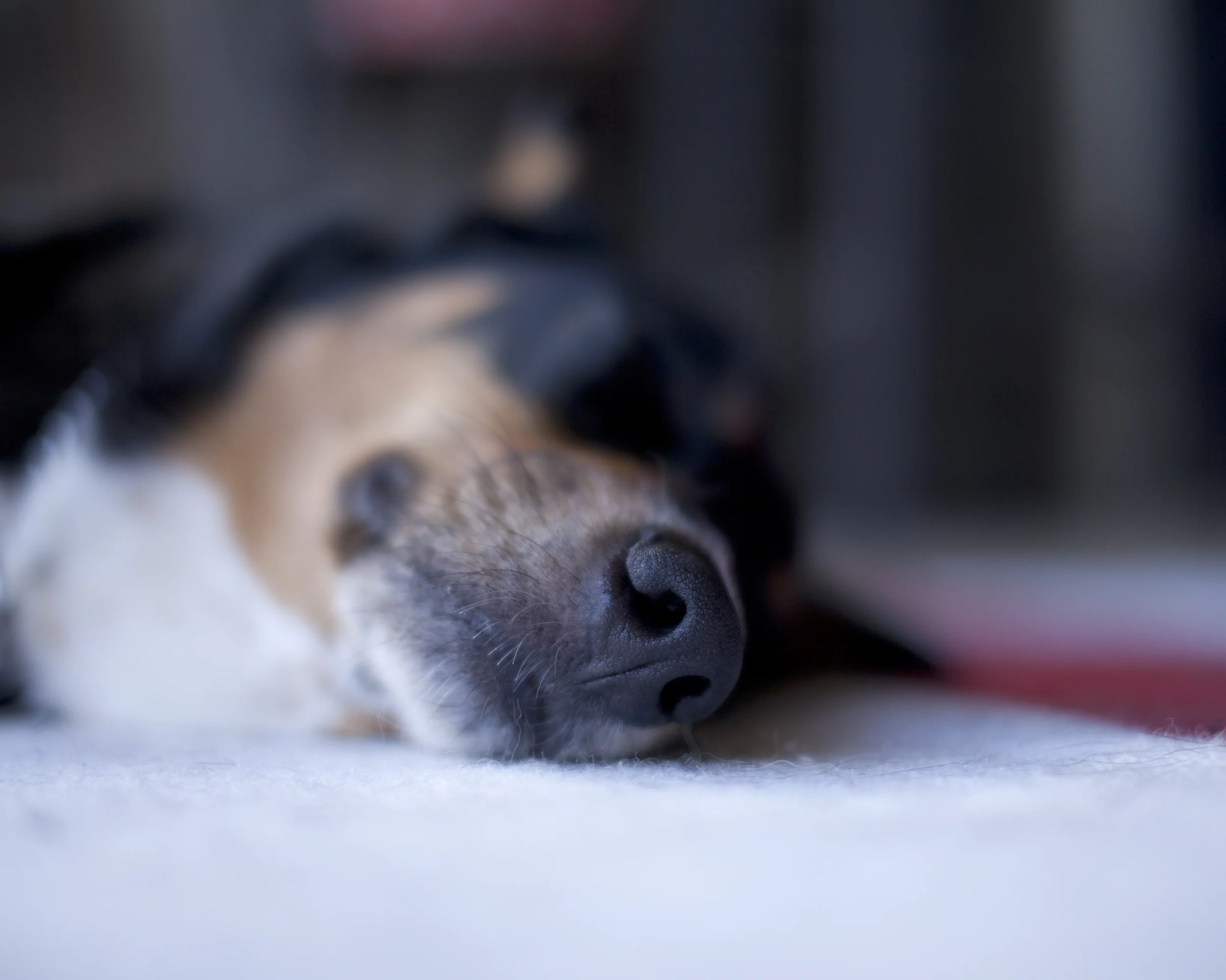 50mmPractice-54W.jpg