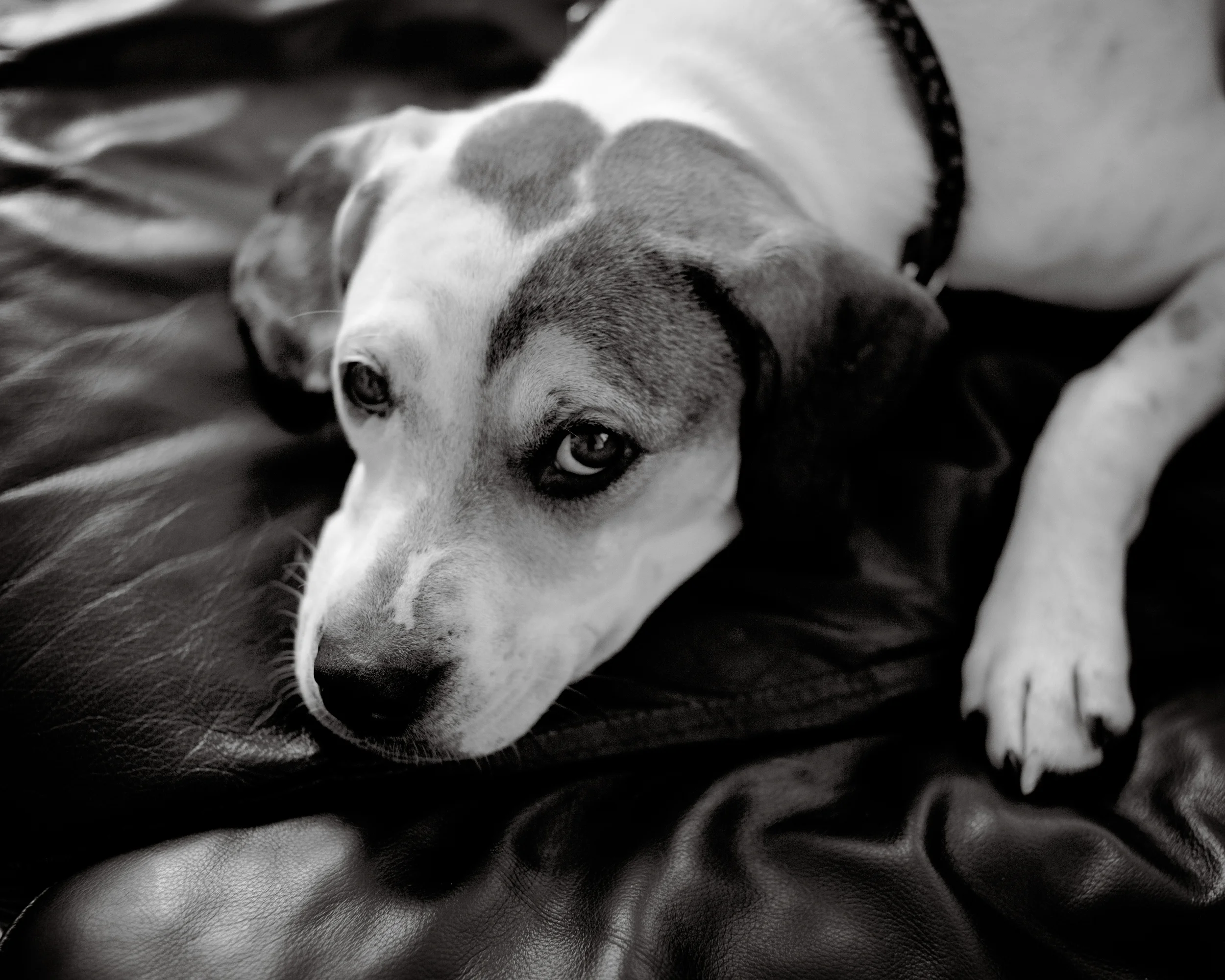 Leila-0020.jpg