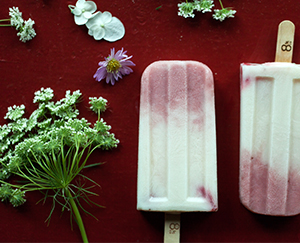 草莓優格 Strawberry Yogurt