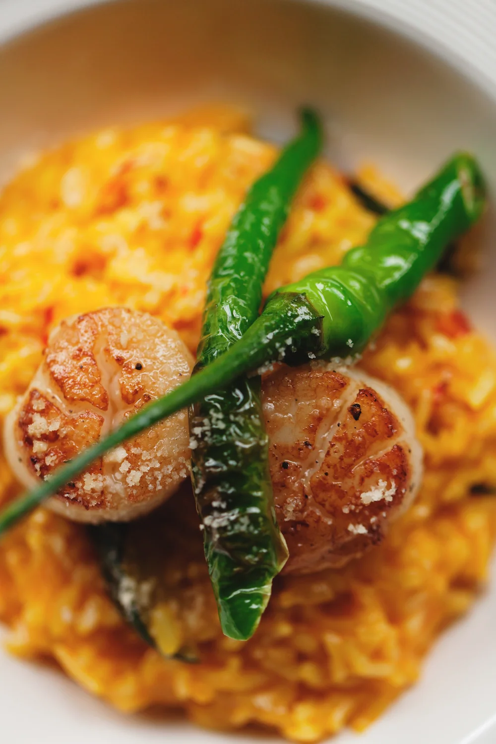 好時好食 義式燉飯 8 Ice 好時好食 義式燉飯 8 Ice