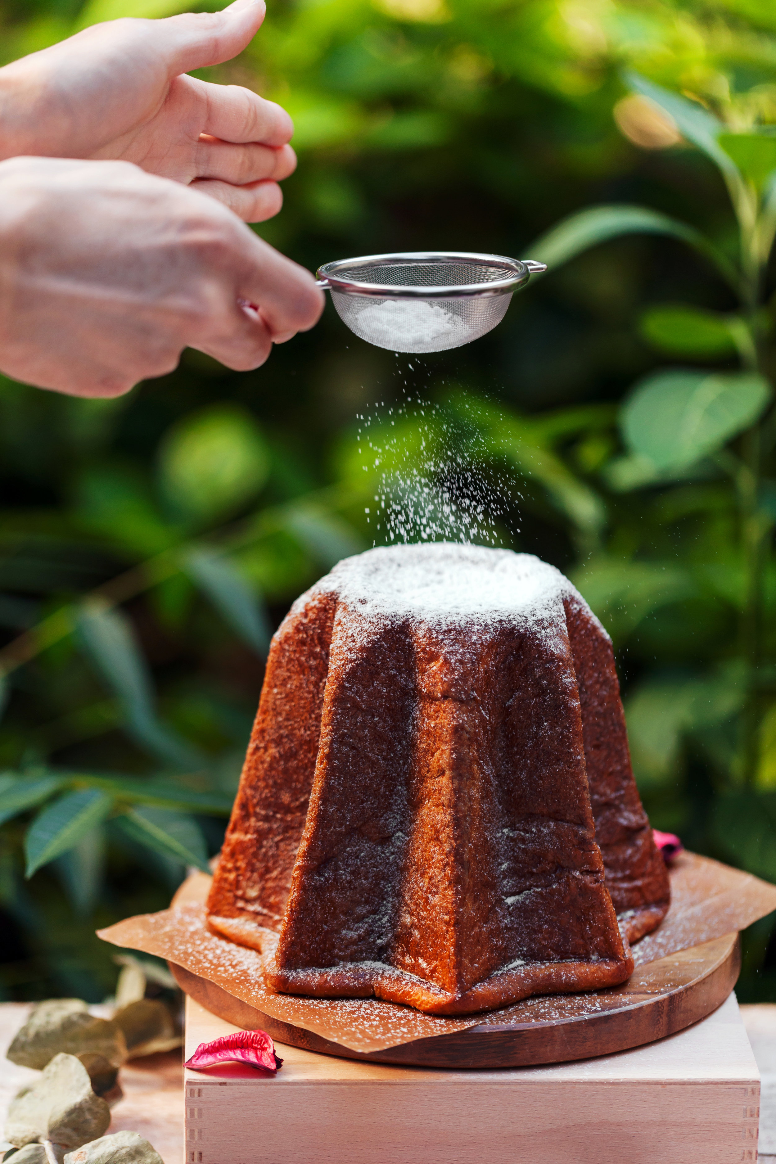 【義大利潘多洛黃金麵包】(Pandoro) 黃金麵包(Pandoro)是源於義大利古城維洛那(Verona)的傳統聖誕麵包,比起傳統麵包,它的口感其實更近似於蛋糕,這是因為揉進麵團中的蛋黃與麵粉比例是1:1,而且不加一滴水只用了醇郁牛乳的緣故;我們採用了需要花去48小時的冷藏低溫發酵法,呈現出它又香又軟的口感,是吃起來綿密的甜點麵包!