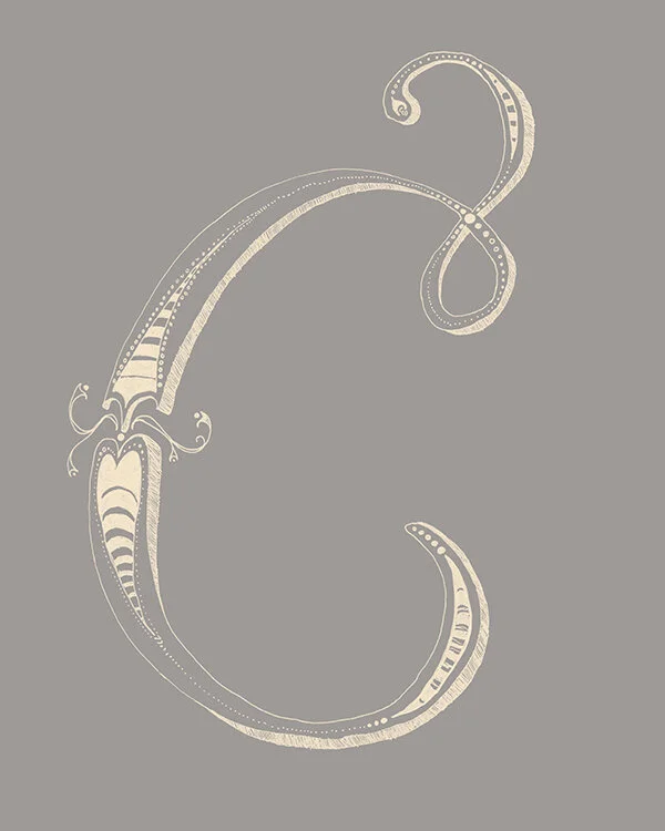 Yes Design Shop-26 Letters Set-calm neutrals3-flat preview.jpg