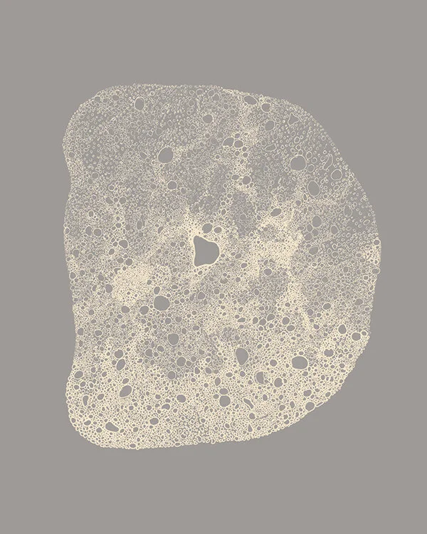 Yes Design Shop-26 Letters Set-calm neutrals4-flat preview.jpg