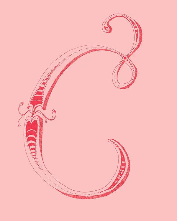 Yes Design Shop-26 Letters Set-raspberry rose3-flat preview.jpg