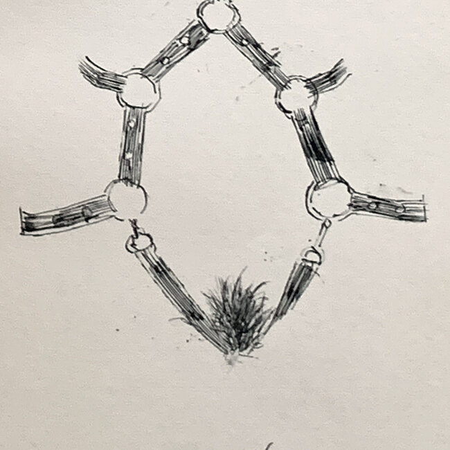 SCRIBS TODAY