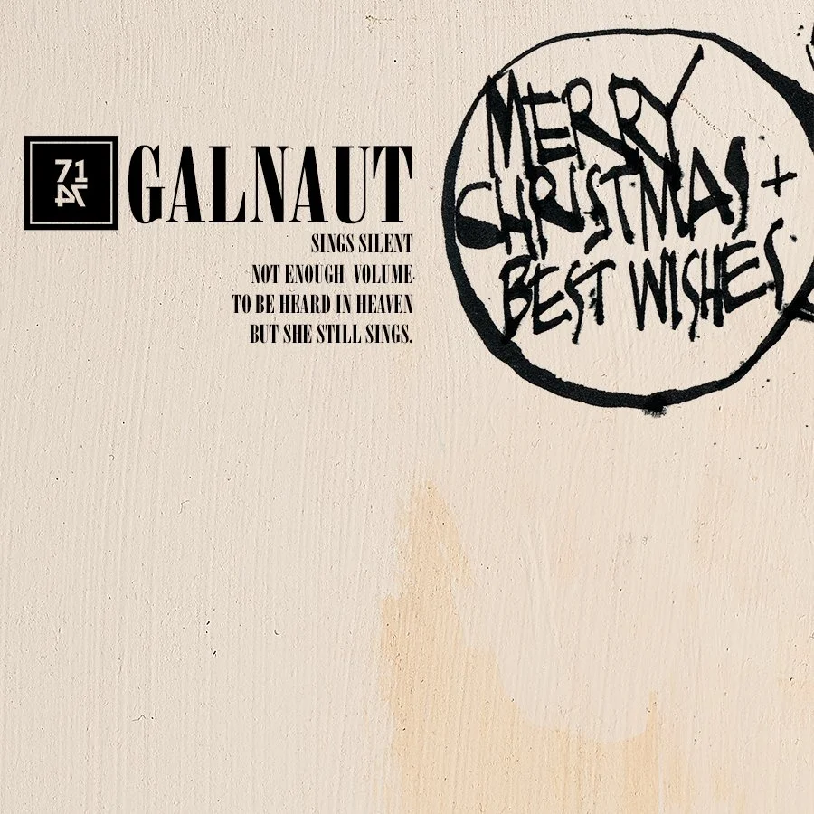 MERRY CHRISTMAS/BEST HOLIDAY WISHES