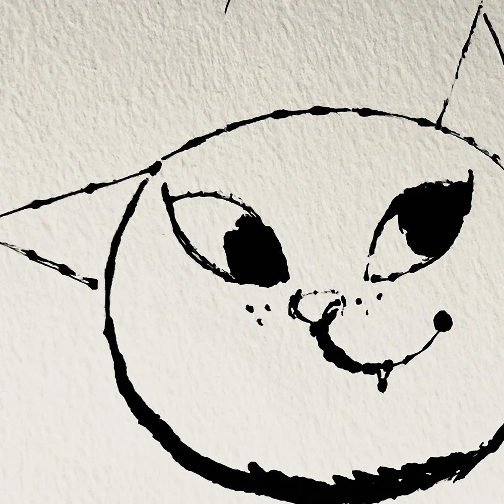 KITTY KITTY