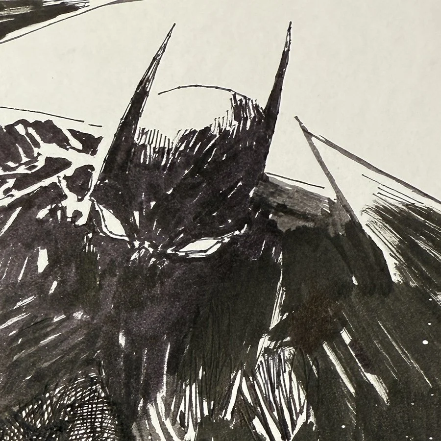 SUNDAY BATMAN