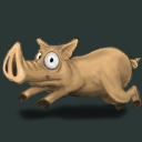 syf_pigrun.gif
