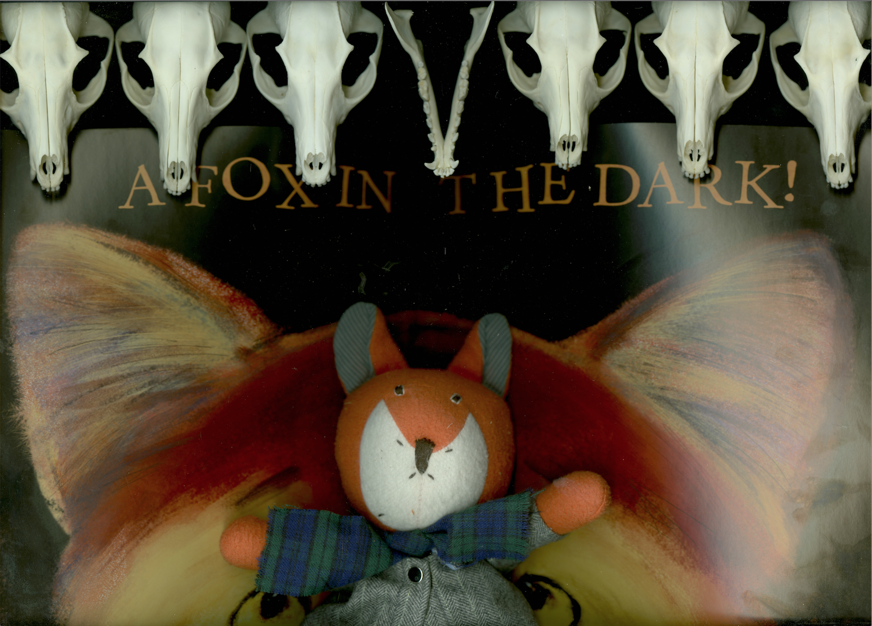 A Fox in the Dark!