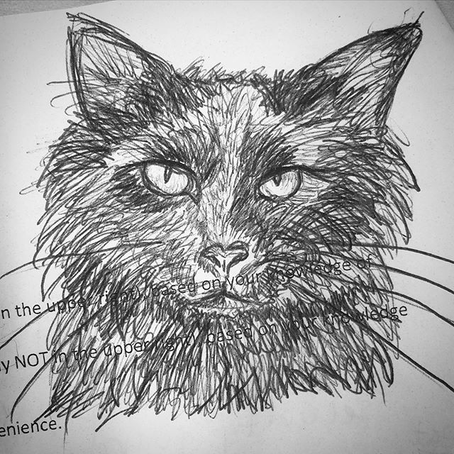 Feels good to doodle again! 🐈 Model: @blackcatsmatter #petportrait #blackcatstagram #inktober #doodles #sketchbook