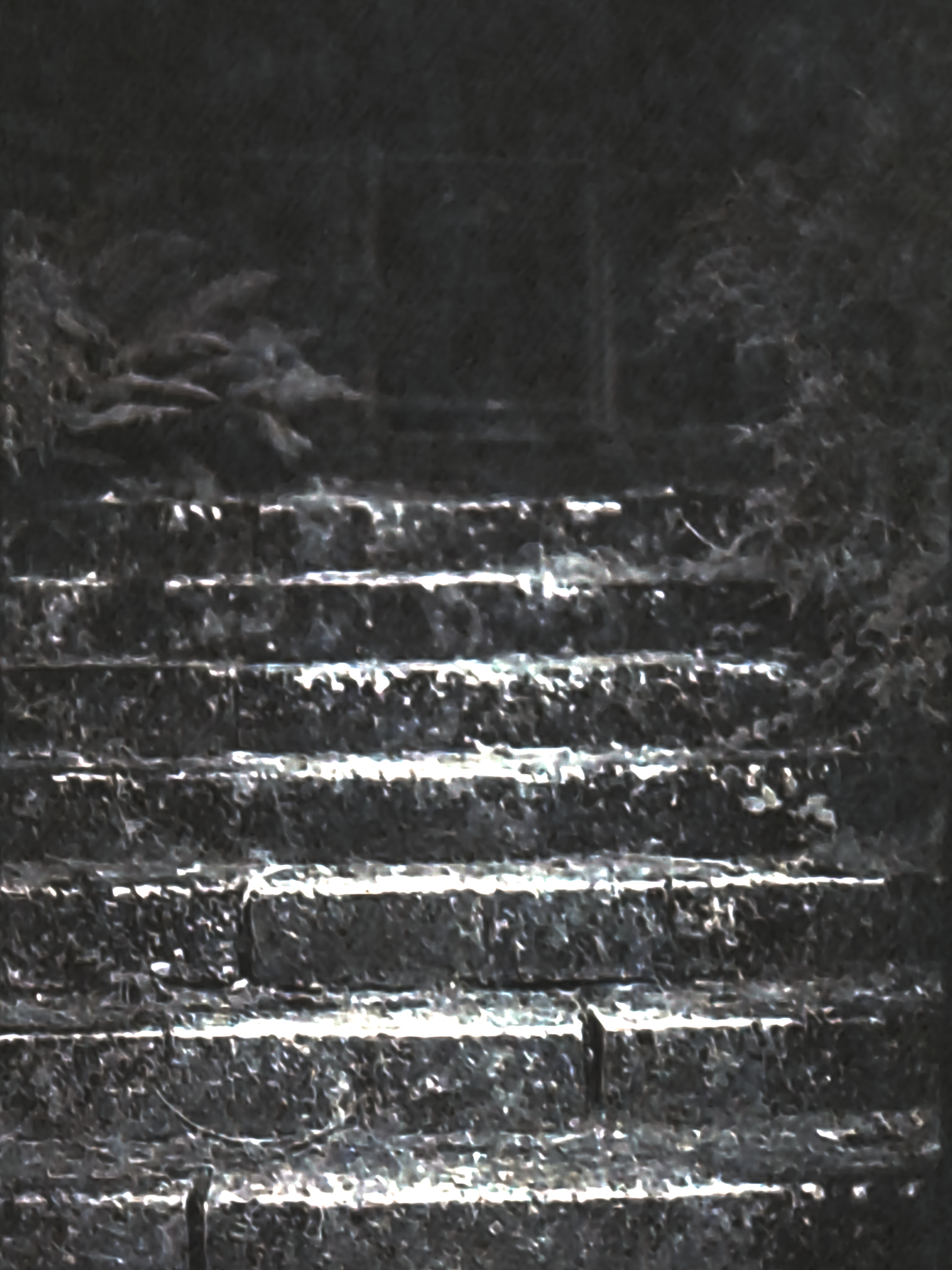 IMG20250211220845.png