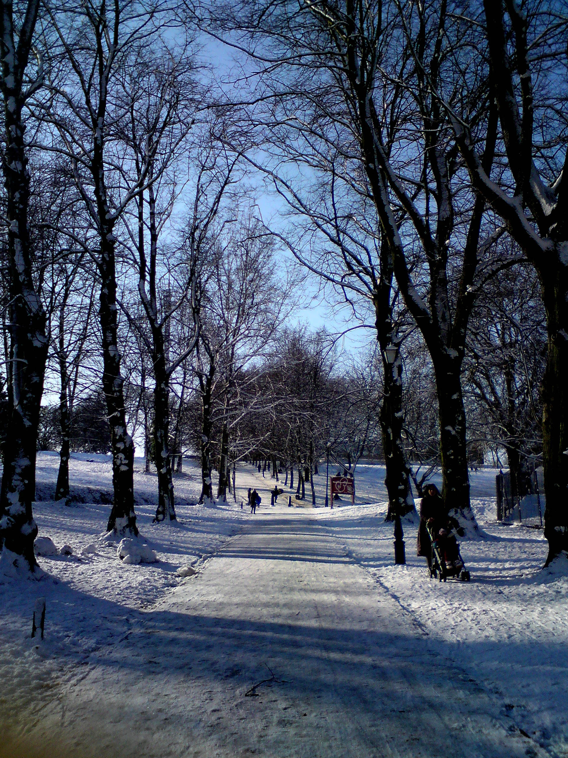 Snowy path to the Palace