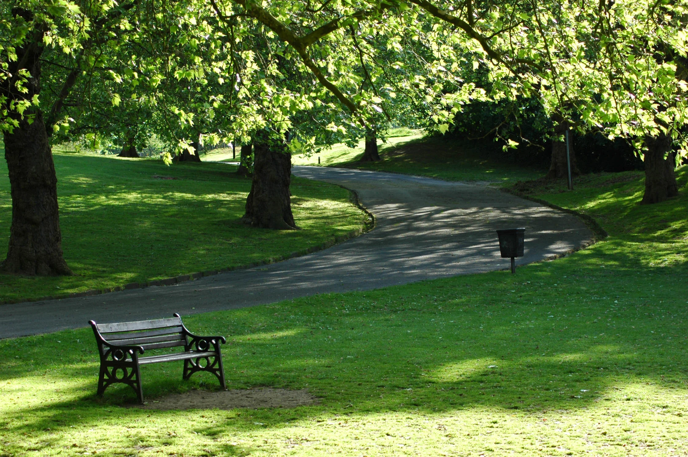 Summer in the park