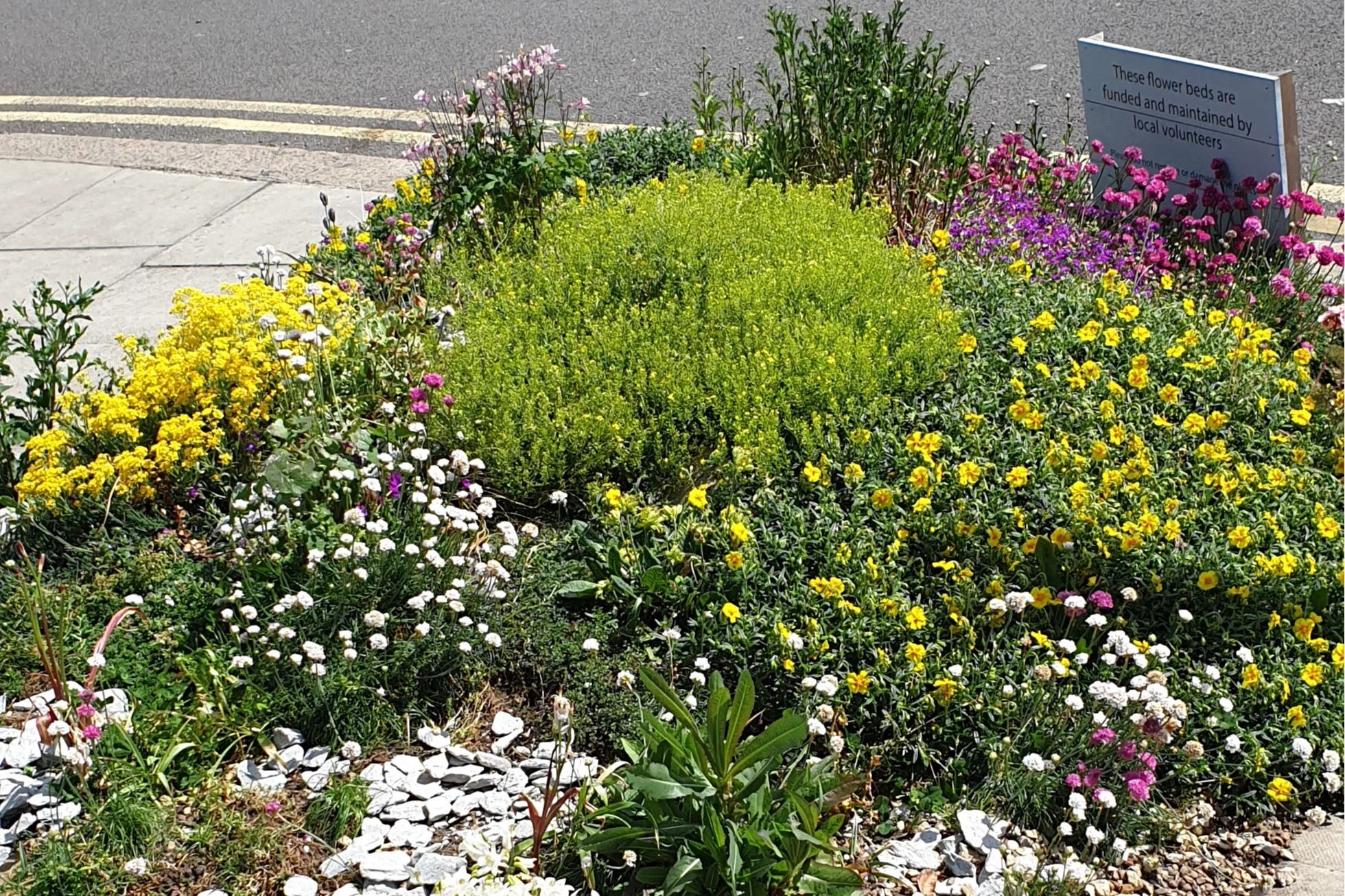Crescent Rise Flower Beds, Spring 2019