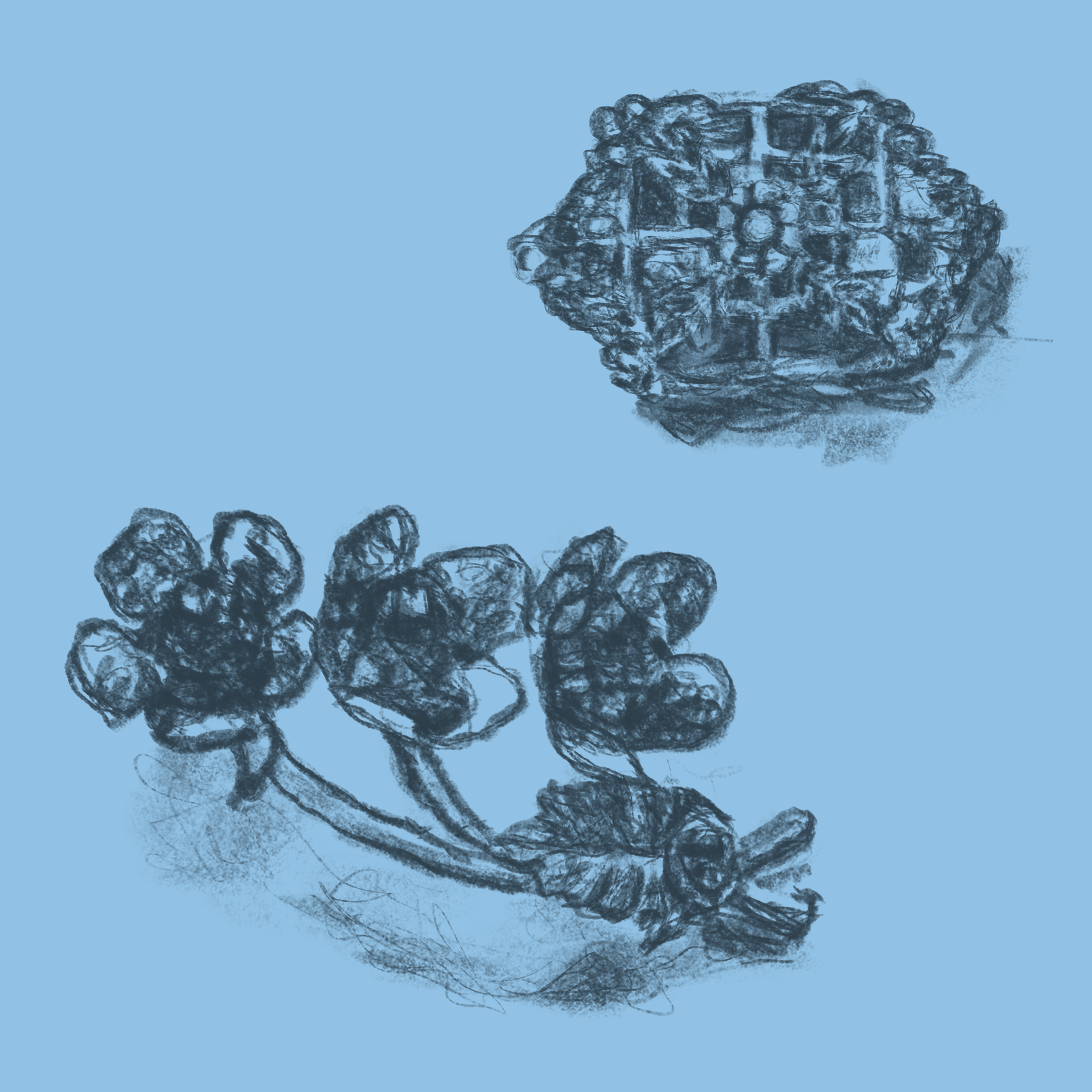 Kaitlin_Dygert_MYOAS_2023_January-mini-blue.png