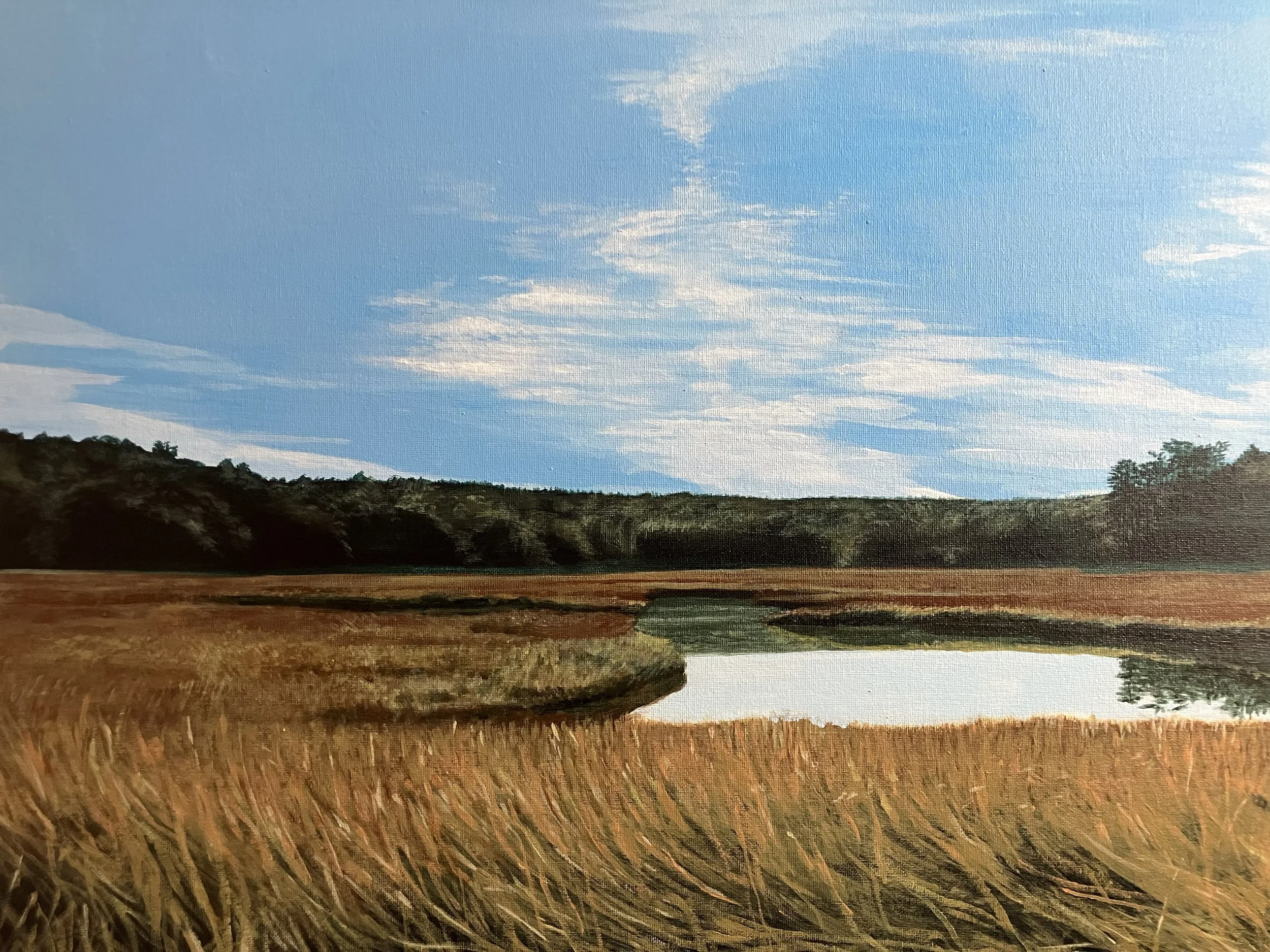 Back River Marsh