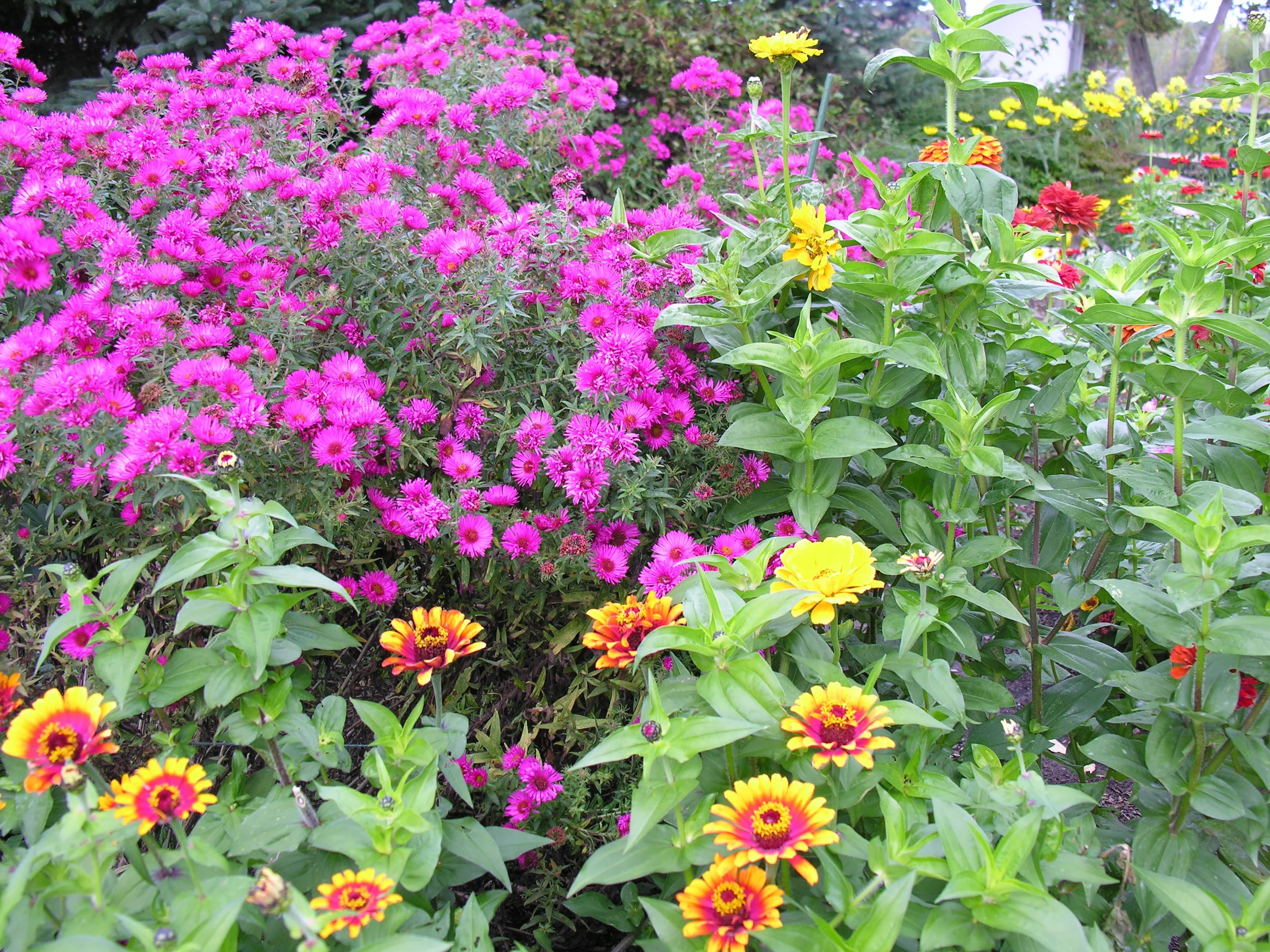201102landscape-design.jpg