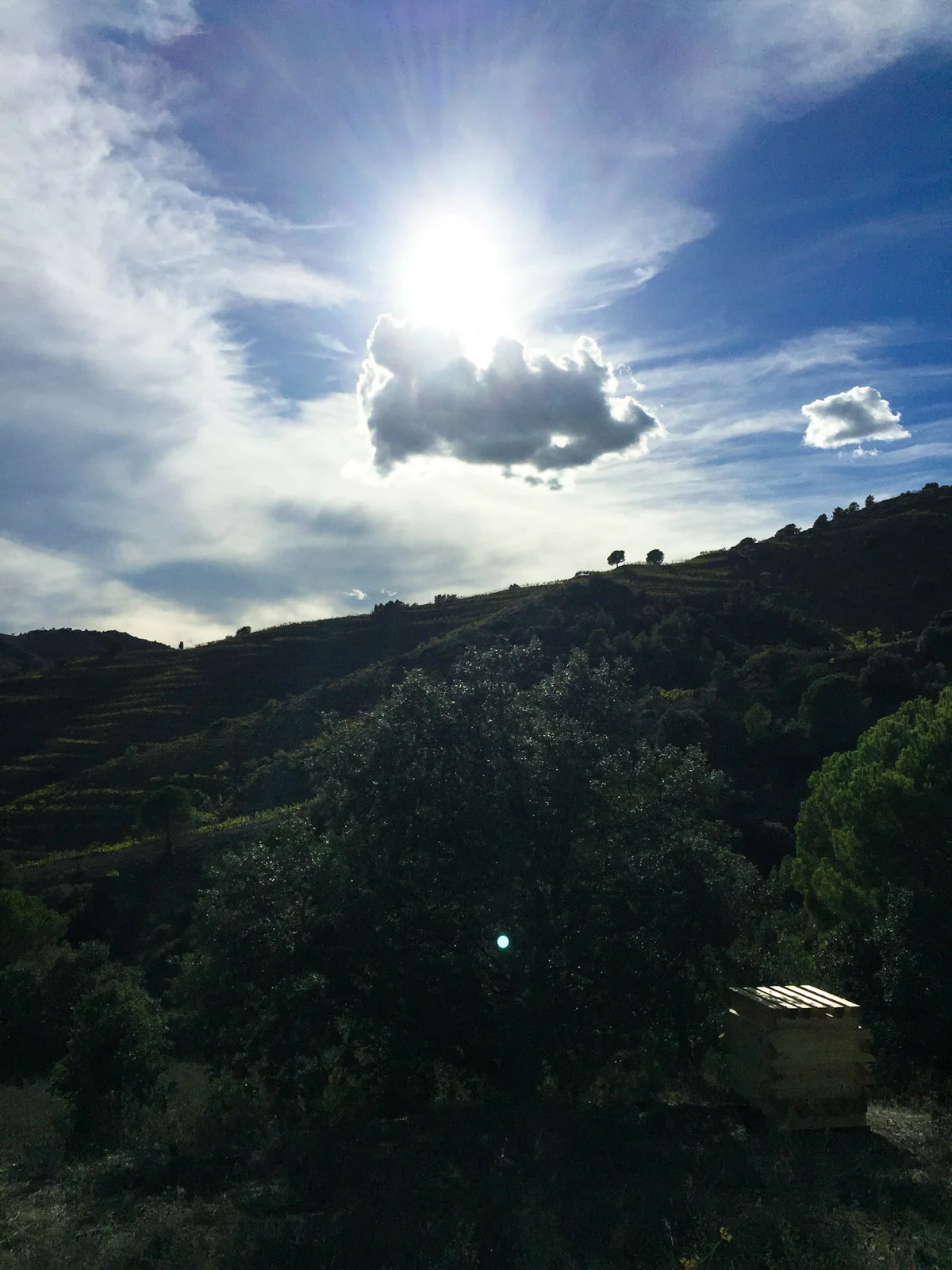 061015-6.jpg