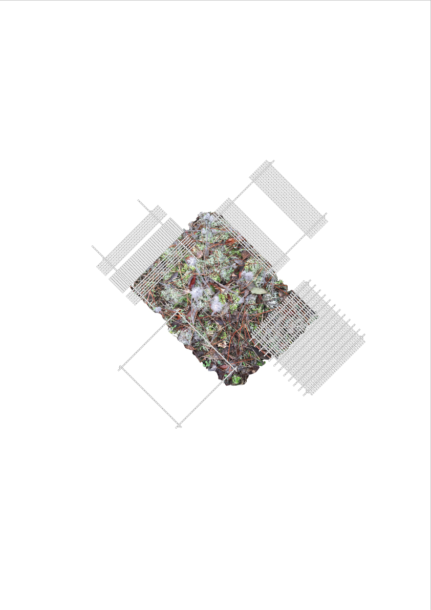 AIXOPLUC2_PLANTA.jpg