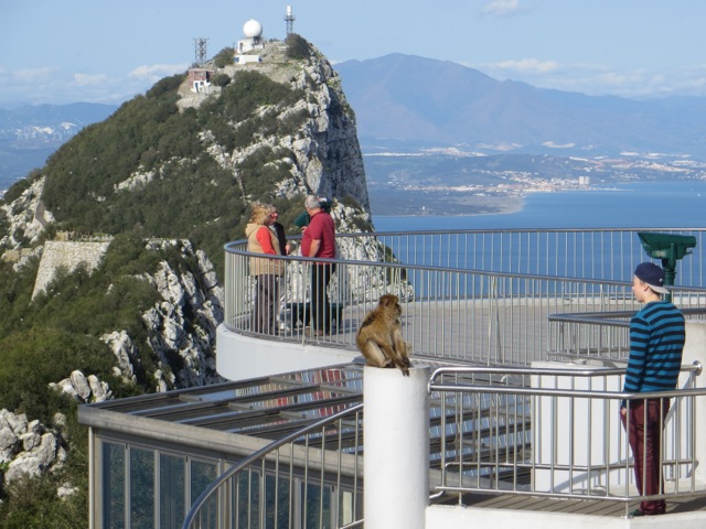 Watch out for Monkey's on Gibraltar!