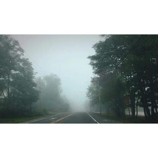 Foggy morning drives