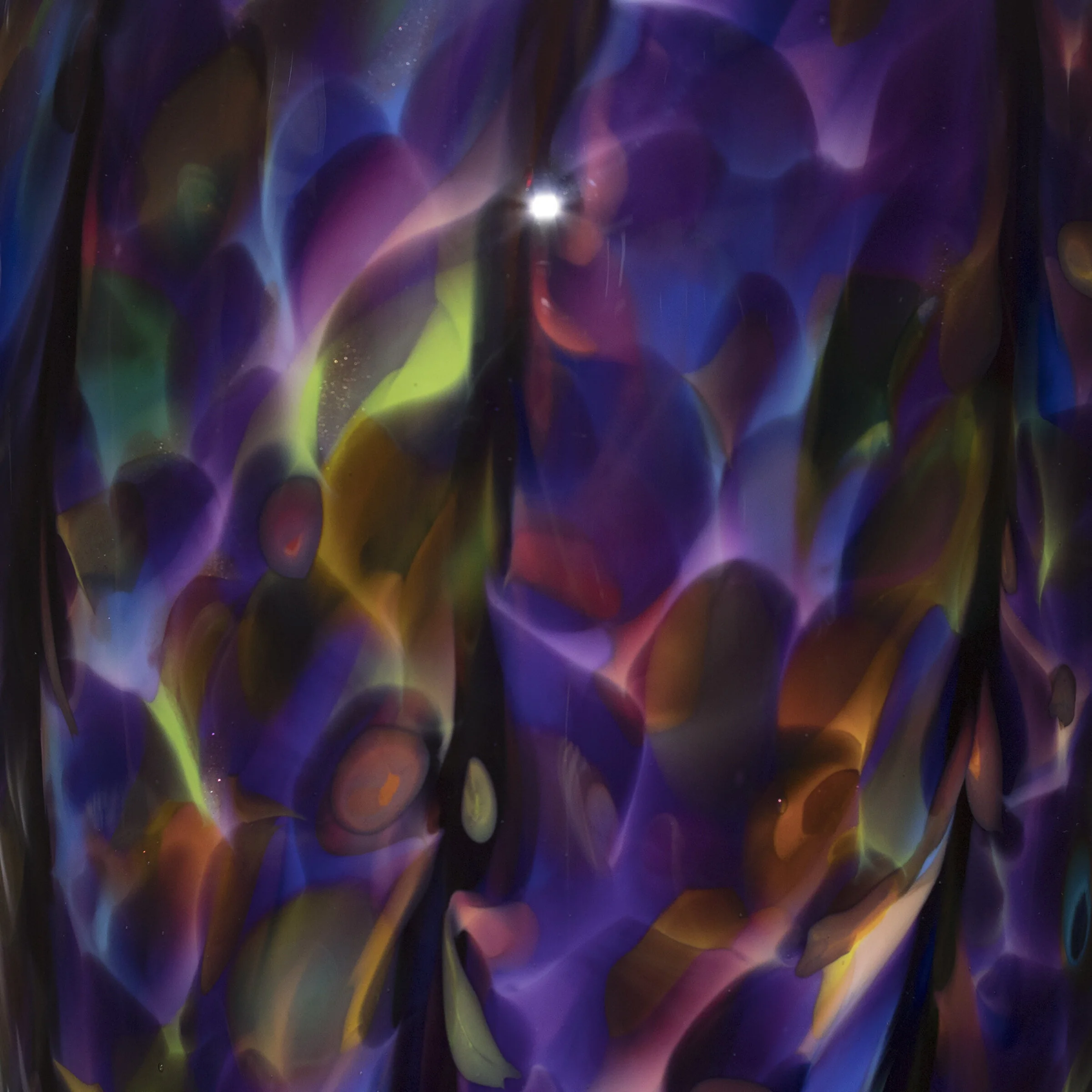 13PurpleFritCloseA.jpg