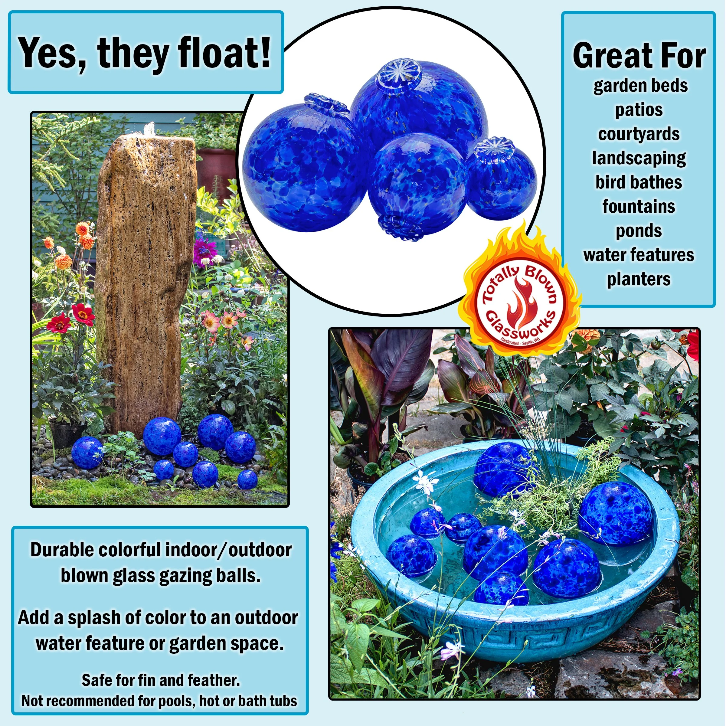 BluePg4Garden.jpg