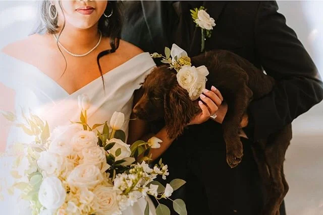 A dog in a flower collar... that&rsquo;s all we came here to say... carry on. 🤣🥰