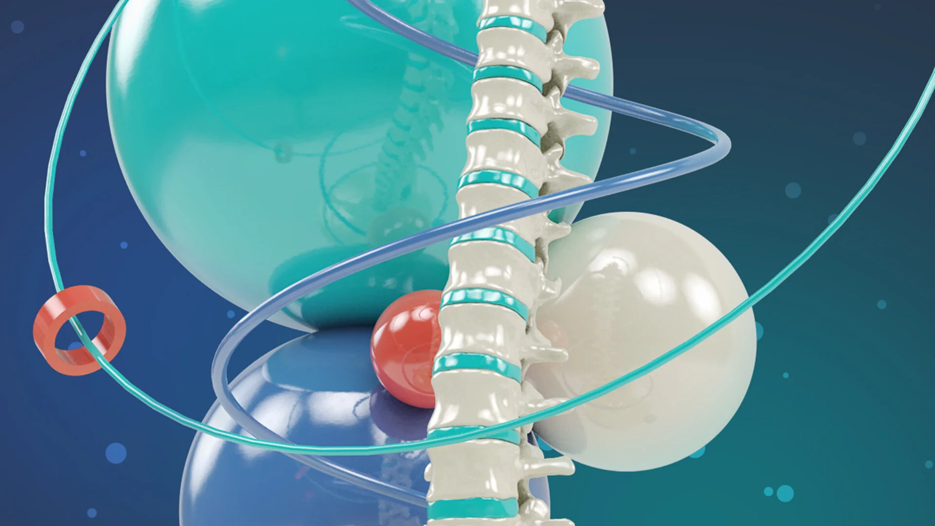 Website Splash-thoracic spine.jpg
