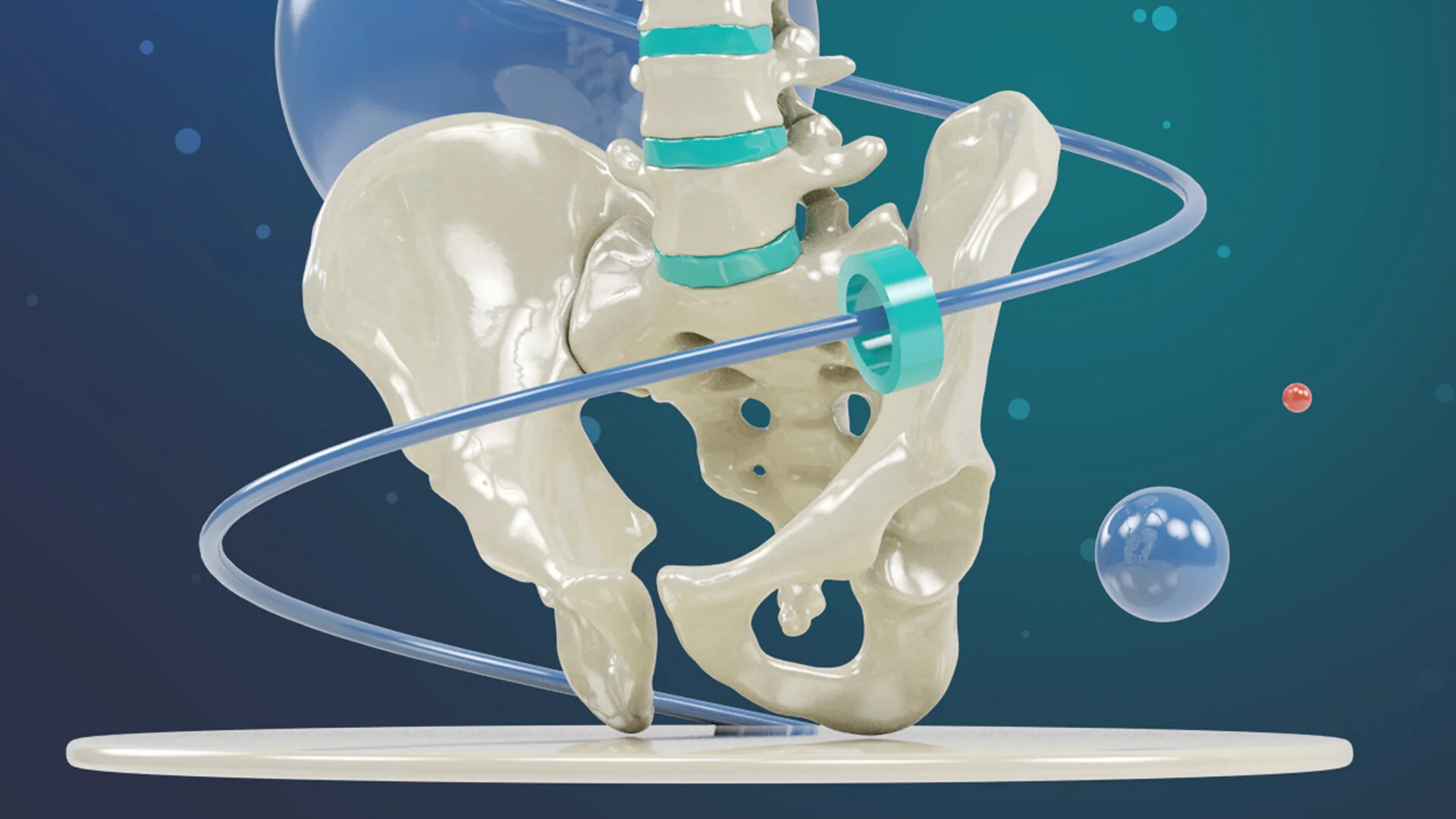 Website Splash-hips.jpg