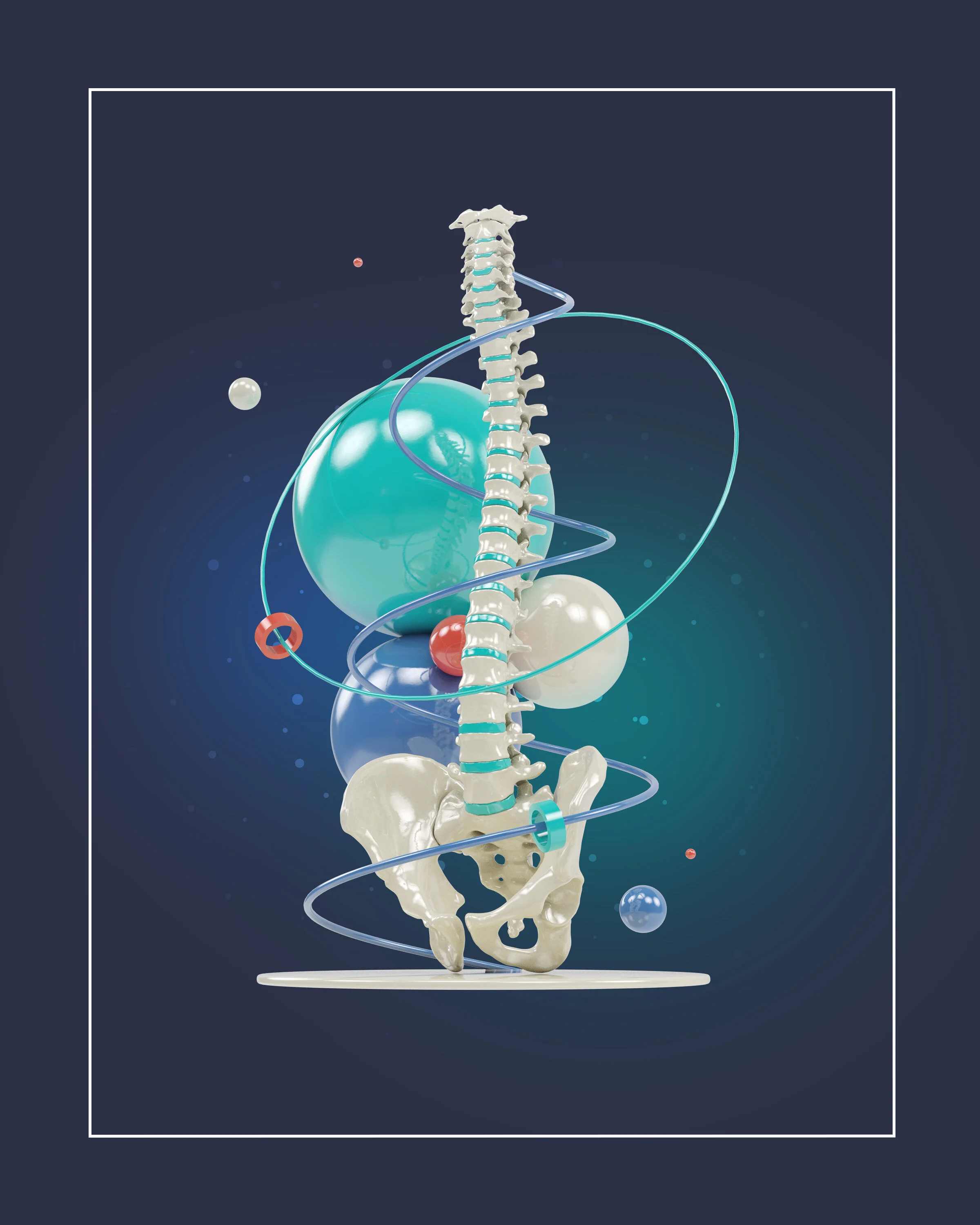 Spine Illustration v04-website-02.jpg