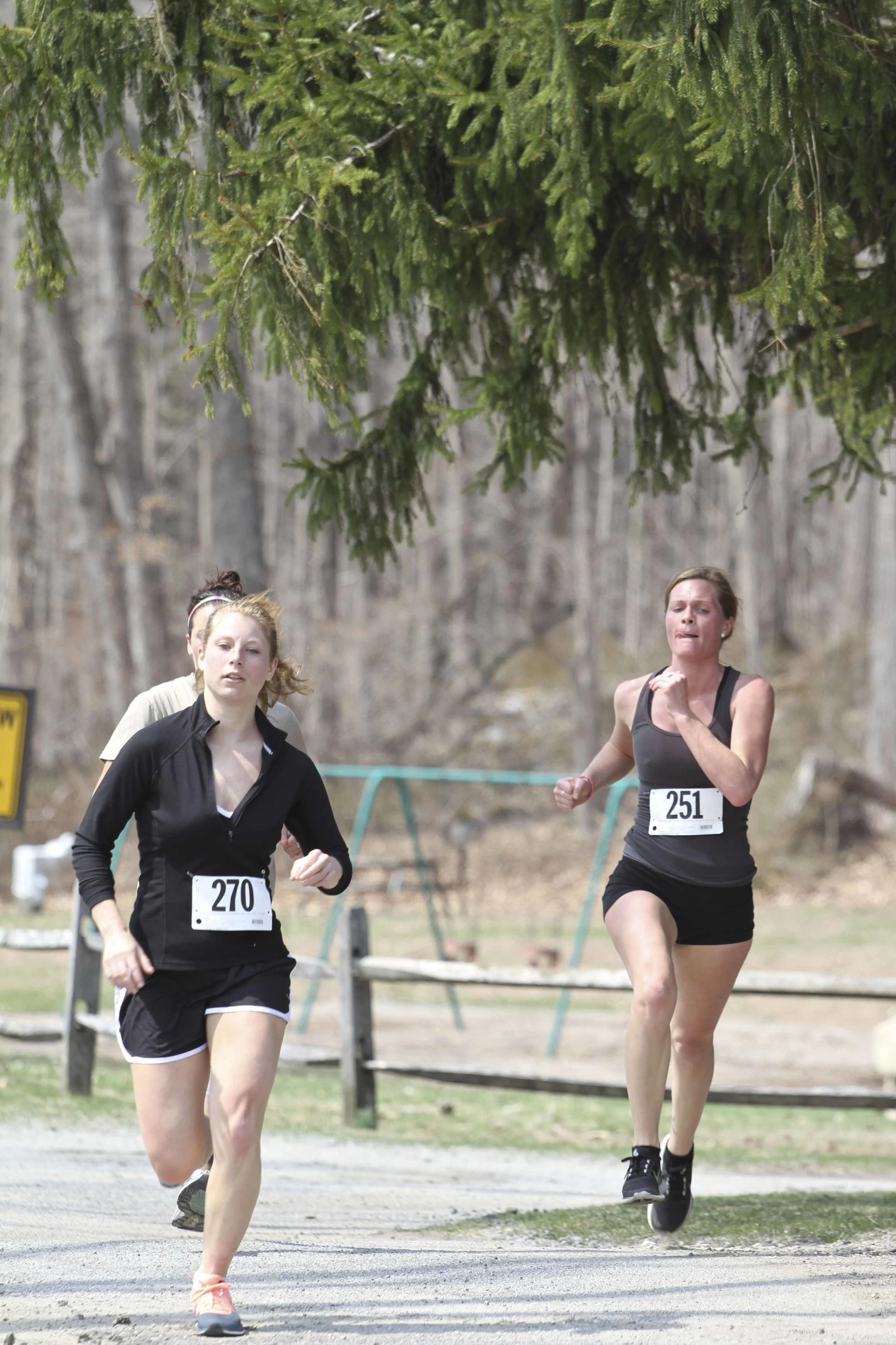 TYM-5k_201.jpg