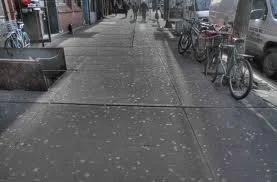 A thought for the days ahead