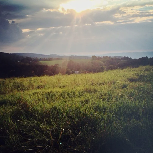 Praying through the Psalms