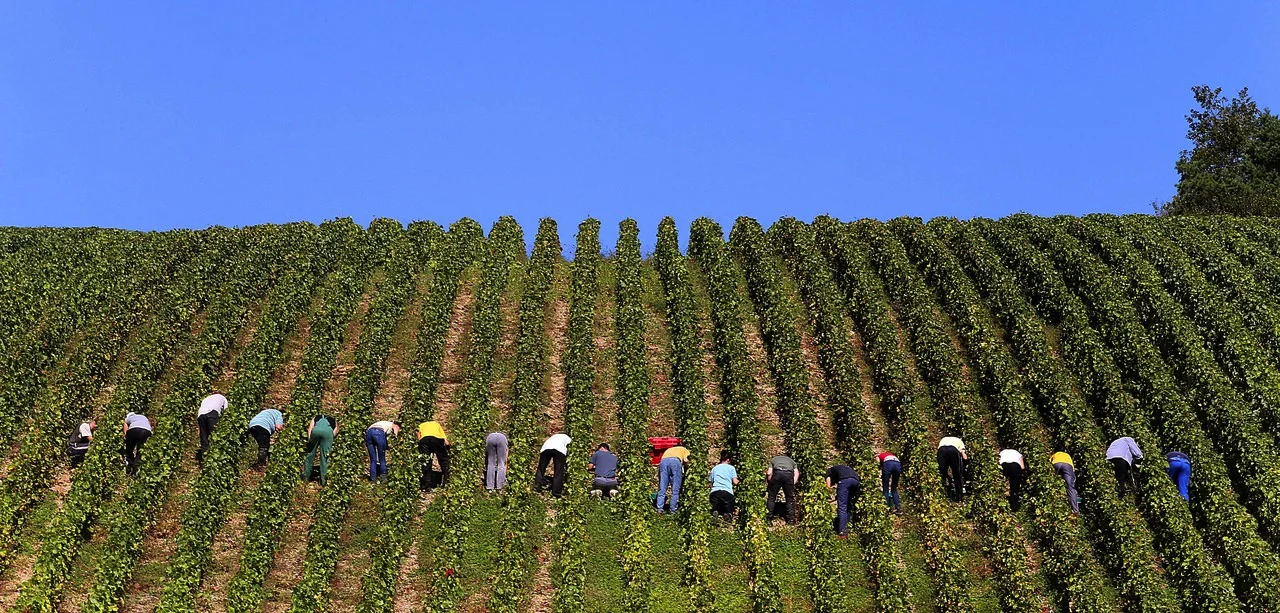 SUNDAY RECAP: "THE GREAT REVERSAL"