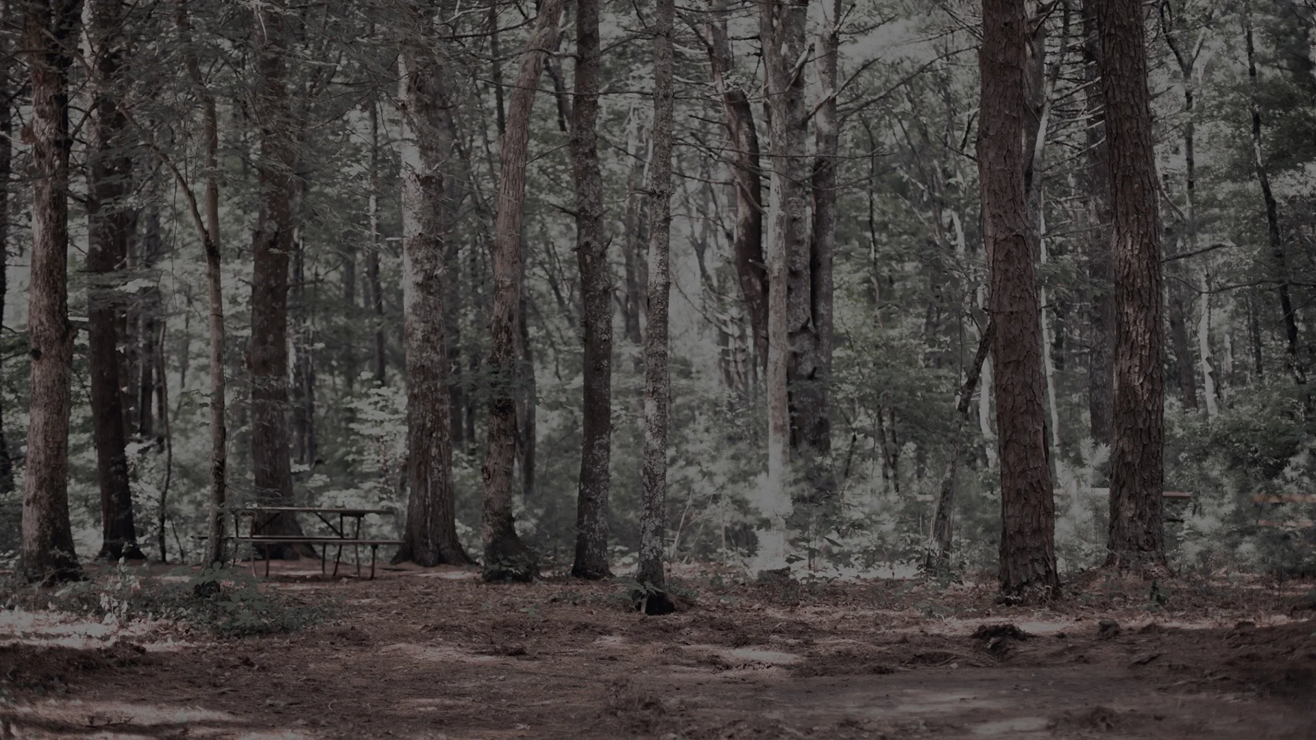 THE WORLD IS NOT WORTHY