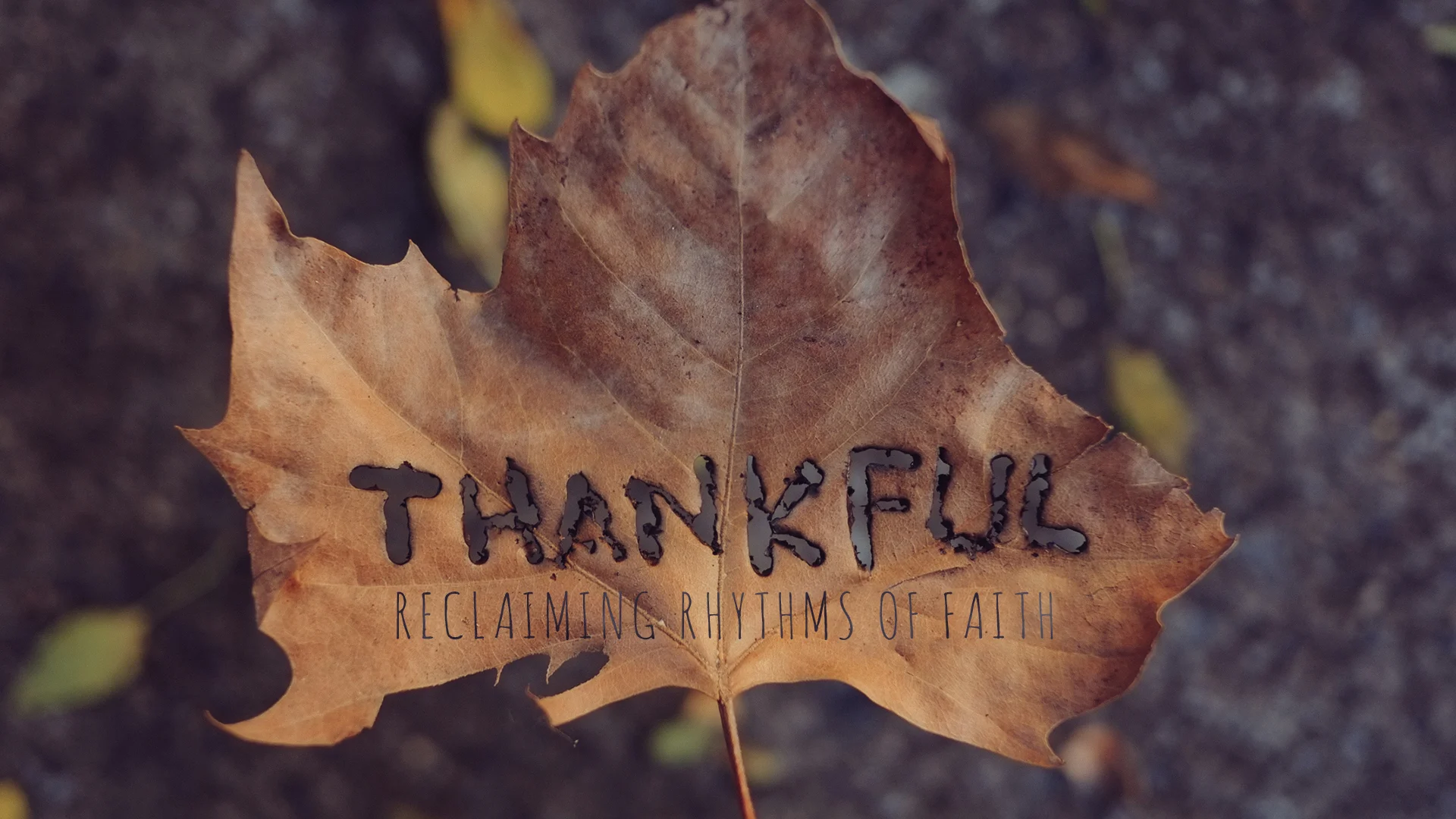 CANNIBALISM FOR THE CHRISTIAN SOUL (THE EUCHARIST)